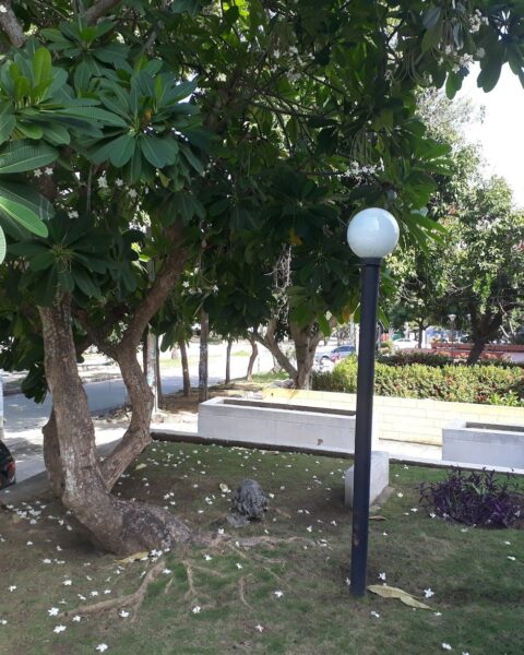 Alto Prado