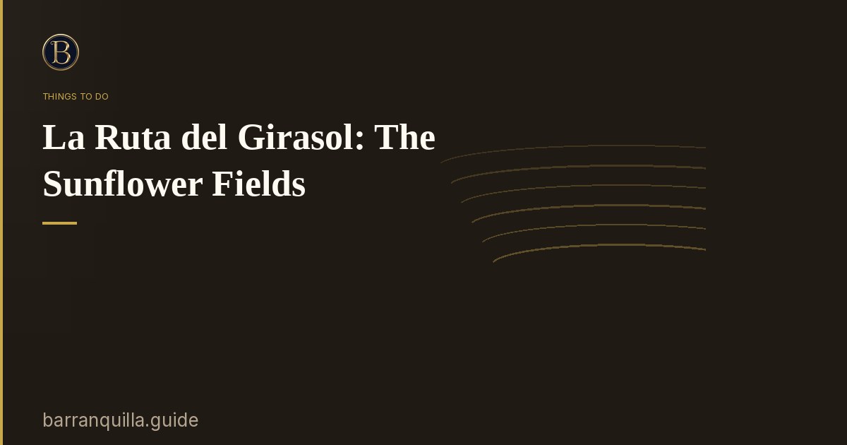 La Ruta del Girasol: The Sunflower Fields